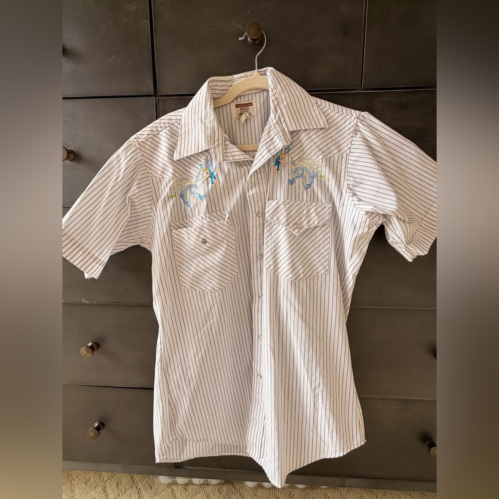 Vintage Ruddock western pearl snap pinstripe  Embroidered shirt